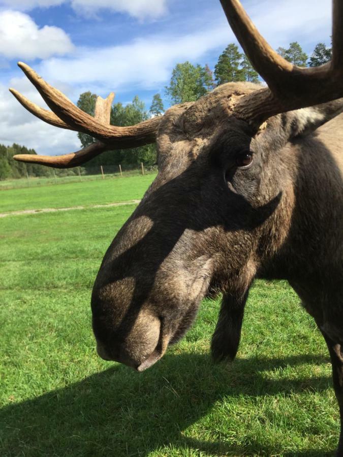 Ferienhaus Am Mycklaflon Eksjö Esterno foto